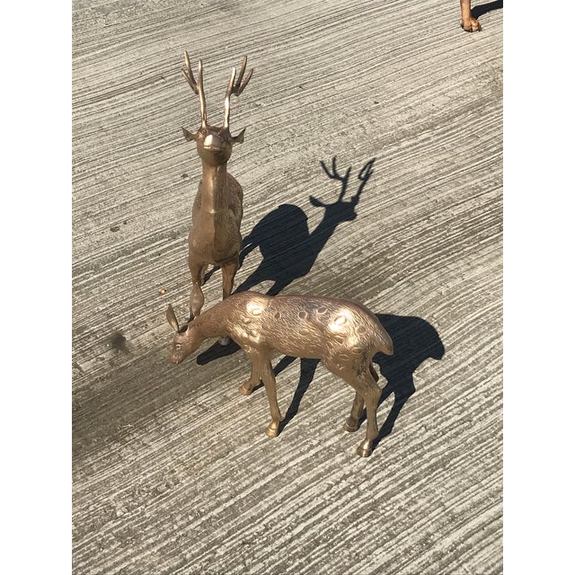 Large Mid Century Brass Deer Floor Statues a Pair Chairish