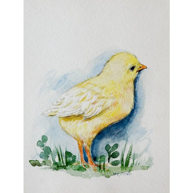 Rustic Baby Chick Watercolor Painting For Sale - Image 3 of 3