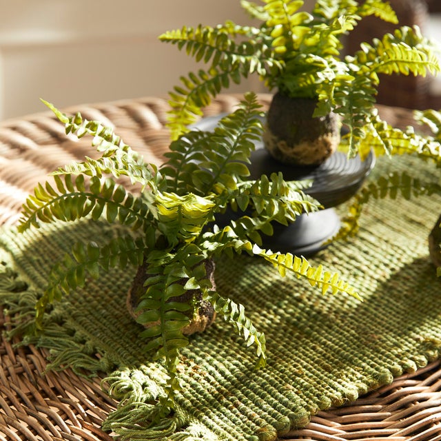 Kenneth Ludwig Chicago Boston Fern Drop-Ins, Set Of 3 For Sale - Image 4 of 7