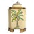 Box Palm Trees For Sale