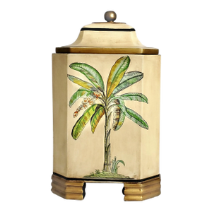 Box Palm Trees