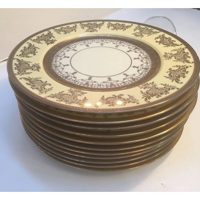 1920s Set of 12 Service Dinner Plates with Vanilla and Gilt Borders For Sale - Image 5 of 9