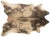 Loloi Rugs Loloi Rugs Grand Canyon Rug, Beige / Ash - 5'x6'6" For Sale - Image 4 of 4