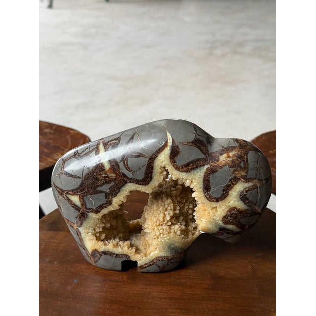 Calcite Crystal Septarian Buffalo Sculpture Carved Stone Masculine Rugged For Sale - Image 17 of 17