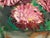 Textile Late 20th Century Floral Oil on Canvas by Unknown Artist, Vintage For Sale - Image 7 of 12