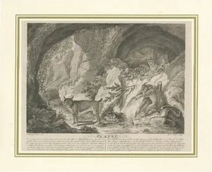 J. S. Müller, Lynx, 1794, Paper