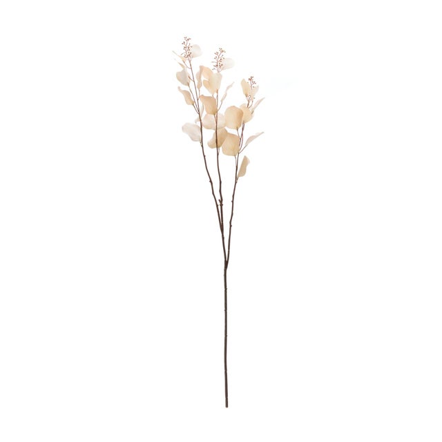 Kenneth Ludwig Chicago Seeded Eucalyptus Stem (Set of 2) For Sale - Image 4 of 5