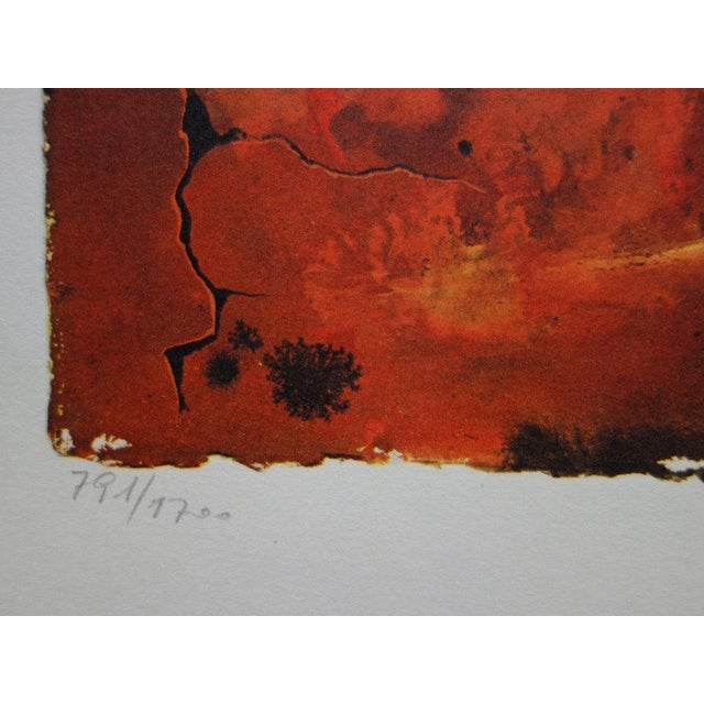 Salvador Dali, Auvergne, Lithograph & Etching For Sale - Image 5 of 7