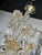 Venetian Gold "Ca' Rezzonico" Murano Glass Chandelier For Sale - Image 6 of 9