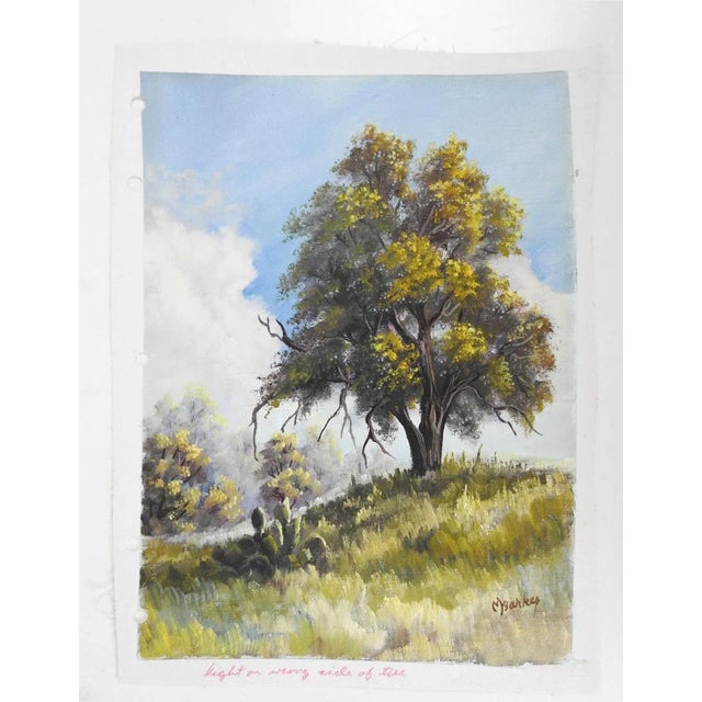 Rustic Small Impressionist Trees and Cactus Landscape Painting For Sale - Image 3 of 3