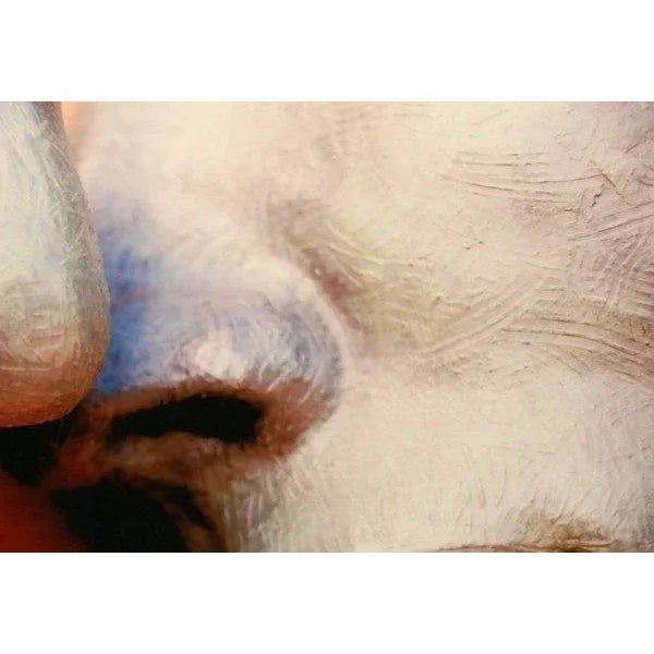 “Lips” Santa Fe, (New Mexico) USA, is a photography print on metal inspired by a spontanious moment captured in midst of...