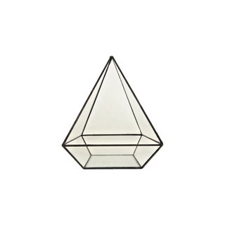 Triangular Terrarium For Sale