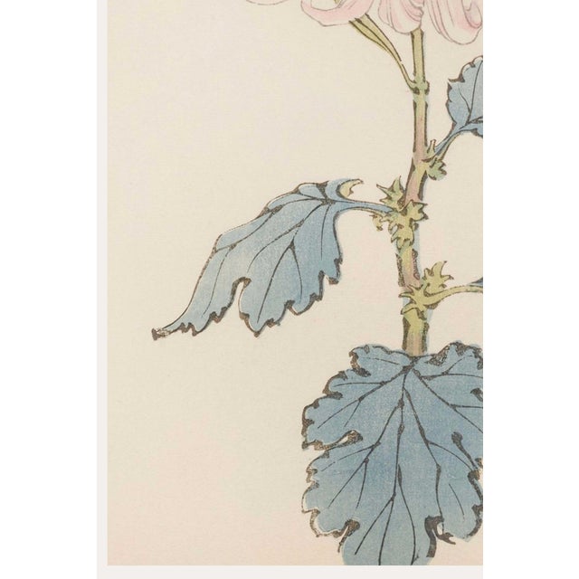 Blush Mum by Hasegawa, Vintage Japanese Botanical Art Print, 16" X 24" For Sale - Image 4 of 8