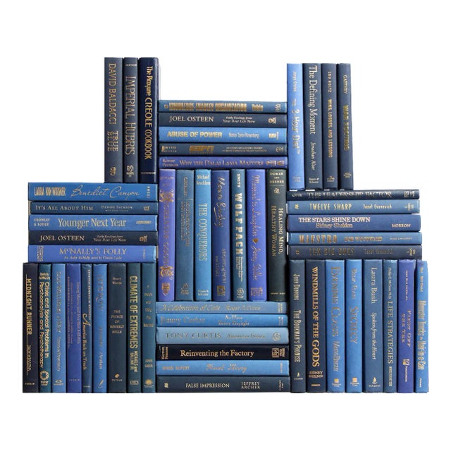 Decorative Books - Denim & Gold Book Wall - Set of 50 Blue Books For Sale