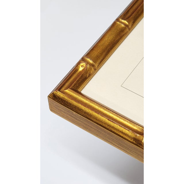 Wood Group of Three Framed Tropical Botanicals in Bamboo Set #6 For Sale - Image 7 of 8