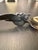 Tribal Hand Cared Decorative Handle Horn Spoon For Sale - Image 3 of 7
