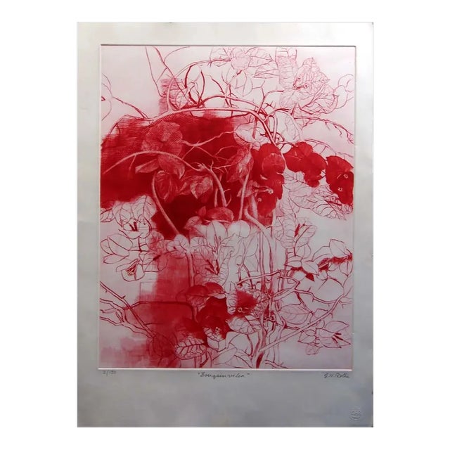 g.h Rothe Bougainvillea 1981 Mezzotint Etching Hand Signed For Sale