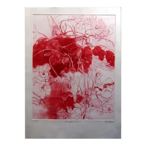 g.h Rothe Bougainvillea 1981 Mezzotint Etching Hand Signed