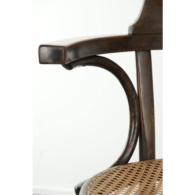 Vintage Webbing Armchair in Curved Wood For Sale - Image 10 of 13
