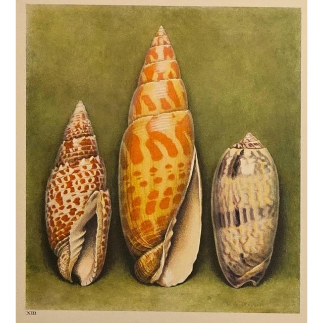 This is a set of 3 French lithographs that date to 1935. They are colored book plates of watercolors done by Paul A...