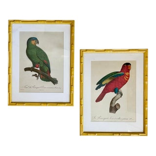 French Jacques Barraband (1768-1809) Parrot Prints in Faux Bamboo Frames, Set of Two For Sale