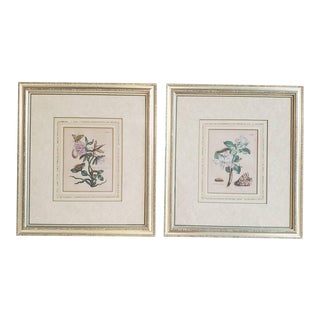 18th Century French Hand Colored Horticulture Wall Art - a Pair For Sale