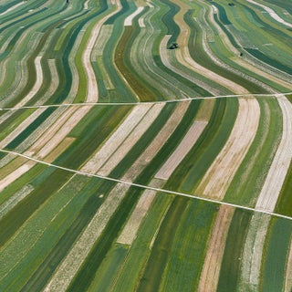"Stripes_of_Suloszowa_007" Contemporary Aerial View Limited Edition Photograph by Bernhard Lang For Sale