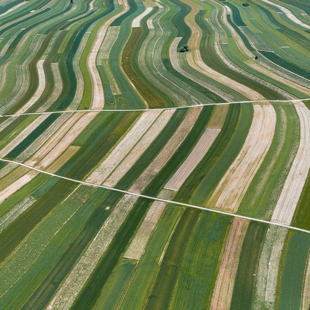 "Stripes_of_Suloszowa_007" Contemporary Aerial View Limited Edition Photograph by Bernhard Lang For Sale