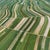 "Stripes_of_Suloszowa_007" Contemporary Aerial View Limited Edition Photograph by Bernhard Lang For Sale