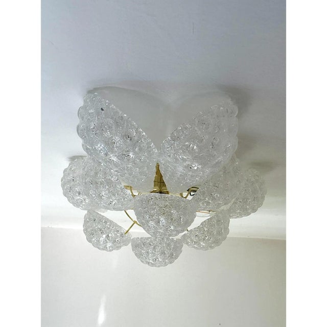 Glass Clear Conchiglie Murano Glass Gold Wall Sconce by Simoeng For Sale - Image 7 of 9