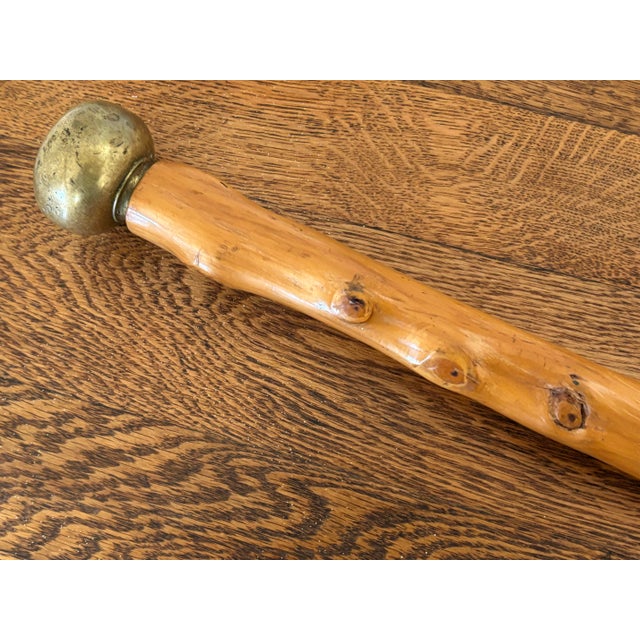 1970s Knobby Cane Walking Stick With Brass Ball Topper For Sale - Image 5 of 7