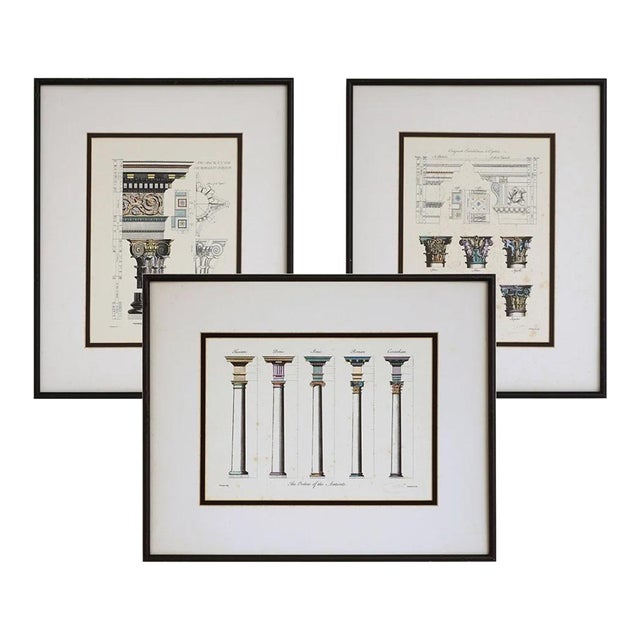 Early 20th Century Architectural Framed Engravings Roman Column - Set of 3 For Sale
