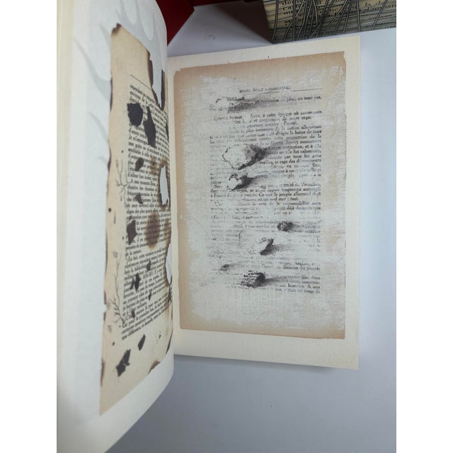 Taupe 2000s Illustrated Quarto, Linda Ellia's Notre Combat, Signed - 1 Book For Sale - Image 8 of 14