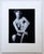 Mid-Century Modern Black and White Photograph of Female Nude - Artist Unknown For Sale - Image 3 of 12
