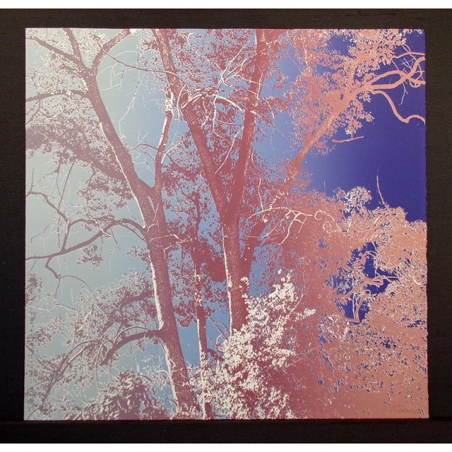 Paula Crane "Evening Prism I & Ii" Signed Diptych 2 Fine Art Etchings 1980s For Sale - Image 4 of 9