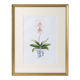 Vintage Framed Botanical Pink Orchid Print in Chinoiserie Cachepot For Sale