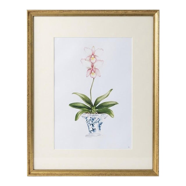 Vintage Framed Botanical Pink Orchid Print in Chinoiserie Cachepot For Sale