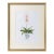 Vintage Framed Botanical Pink Orchid Print in Chinoiserie Cachepot For Sale