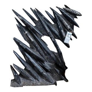 15th Century & Earlier Sculpture of Ortoceras For Sale