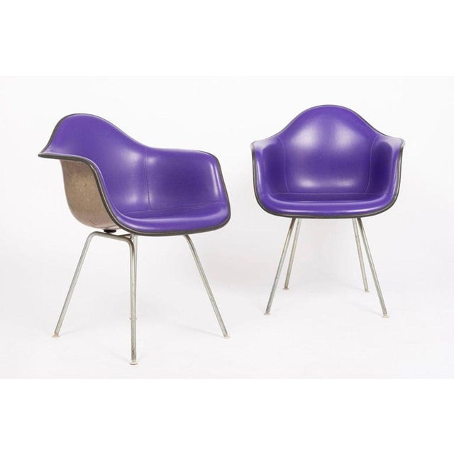 Mid Century Purple Dax Lounge Chairs by Eames for Herman Miller, 1960s For Sale - Image 11 of 14