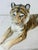 Traditional Royal Copenhagen Porcelain Tiger For Sale - Image 3 of 6