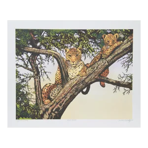 1970s "Leopards in Tree" Lithograph by Caroline Schultz