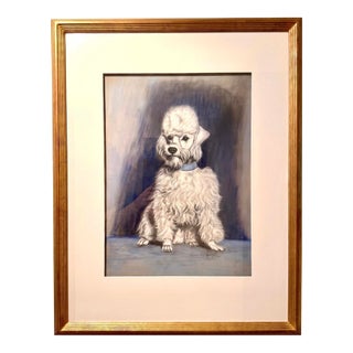 Original Pastel Painting of a White Poodle by Reknowned Dog Artist Gladys Emerson Cook, C 1940s, Custom Framed For Sale