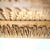 Model 408 Teak Paper Cord Dining Chairs by Niels Otto Møller for J.L. Møllers, 1975, Set of 4 For Sale - Image 12 of 18
