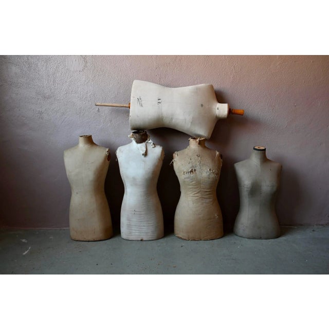 French Dressmaker's Mannequin Busts, Set of 5 For Sale - Image 9 of 10