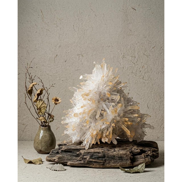 A sculptural natural Golden Healer quartz cluster selected for its radiating pine-like formation, translucent clear quartz...