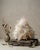 A sculptural natural Golden Healer quartz cluster selected for its radiating pine-like formation, translucent clear quartz...