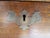 Vintage Chippendale-Style Mahogany Slant Front Secretary Desk With Claw Feet and Hidden Compartments For Sale - Image 11 of 15