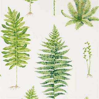 Sanderson Fernery Wallpaper in Botanical Green For Sale