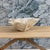 Mid 20th Century Midcentury Swiss Willy Guhl Clam Shell Planter For Sale - Image 5 of 8